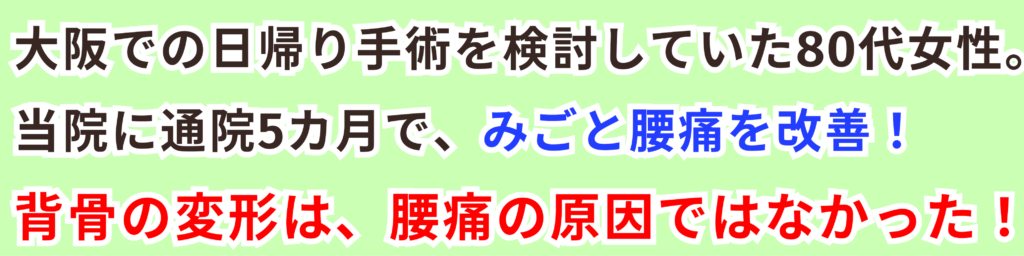 この動画についての説明